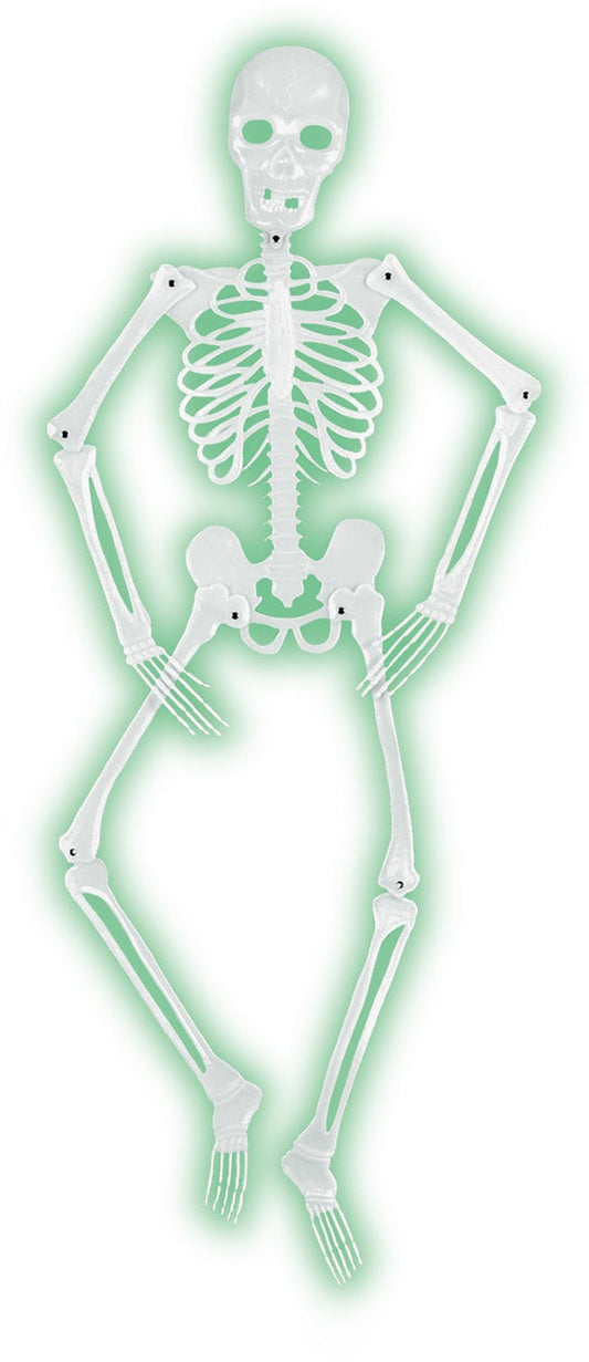 Mr Bones-A-Glo Skeleton