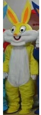 Bunny Costume - Yellow