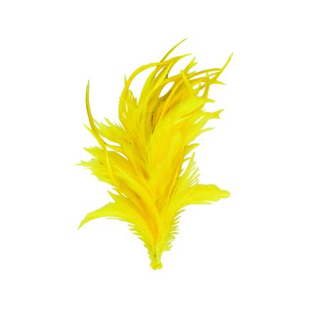 Feather with Clip