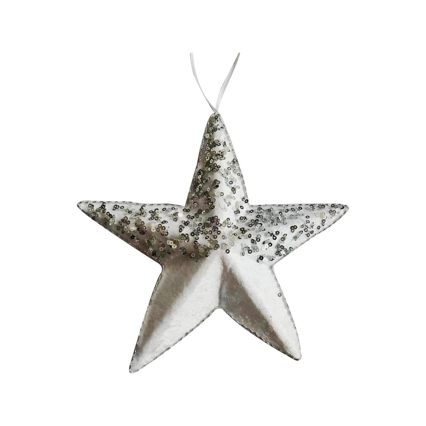 Sequined Star