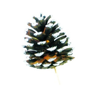 Glittered Pine Cone