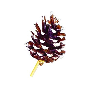 Glittered Pine Cone