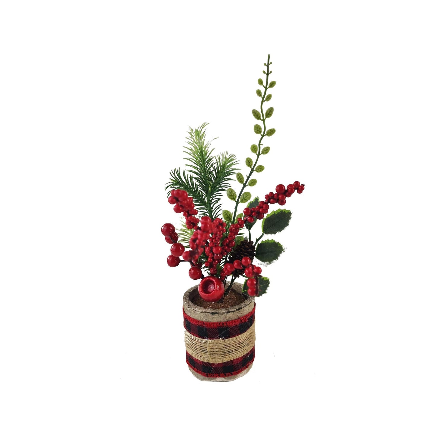 Potted Leafy Berries