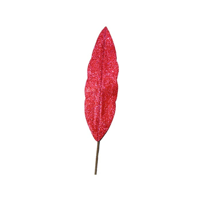 Large Dry Leaf