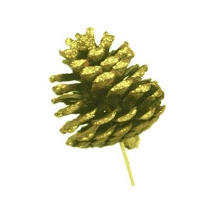 Glittered Pine Cone