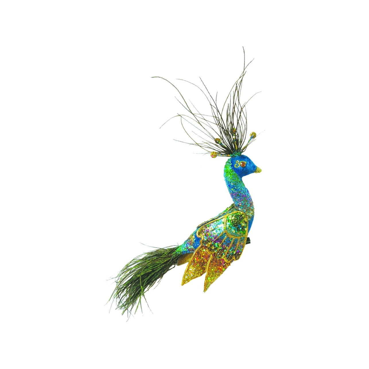 Ornate Peacock